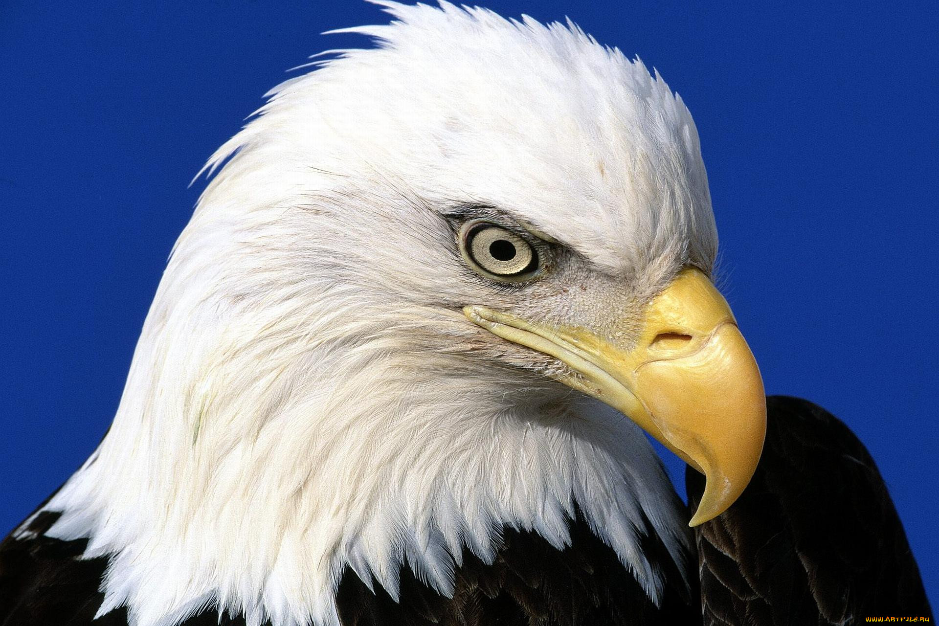 ,  - , , 